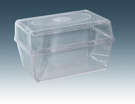 Seed germination box
