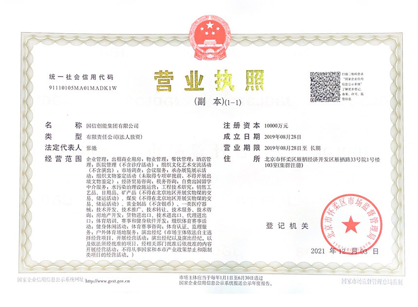 国信创能集团有限公司(副本) 国信创能集团有限公司(副本)