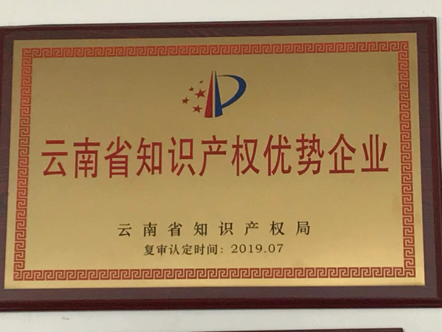 云南省知识产权优势企业（2019）
