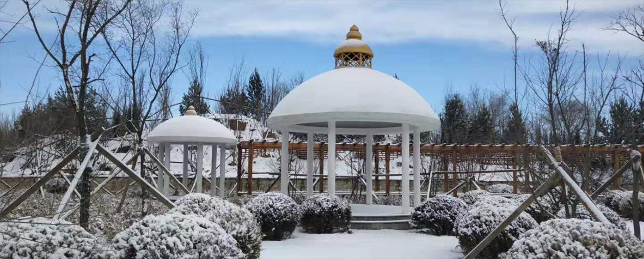 蒙医医院