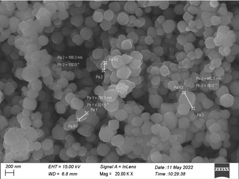 Hydroxyl Magnetic Beads (XSD-OH)