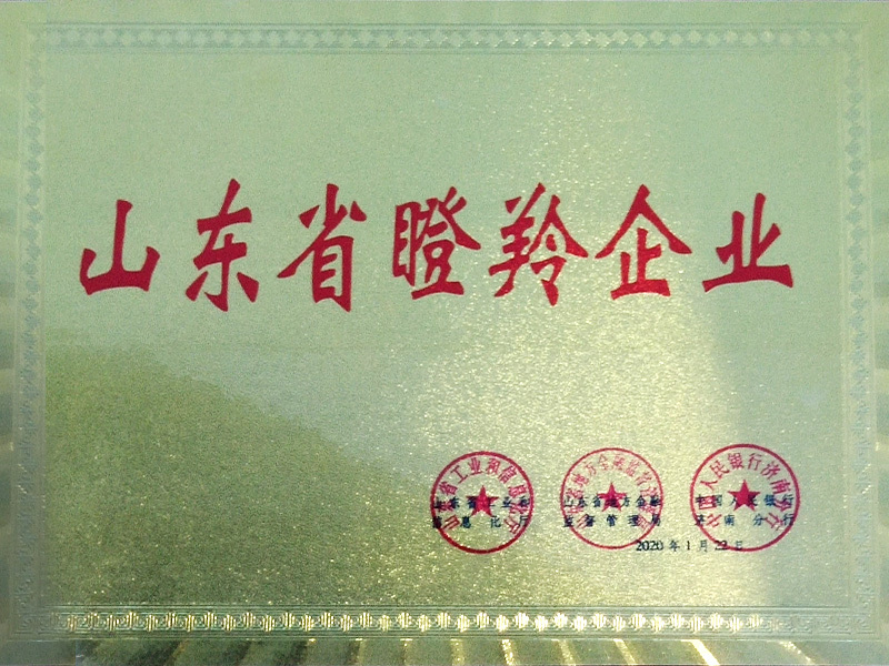 山东省瞪羚企业