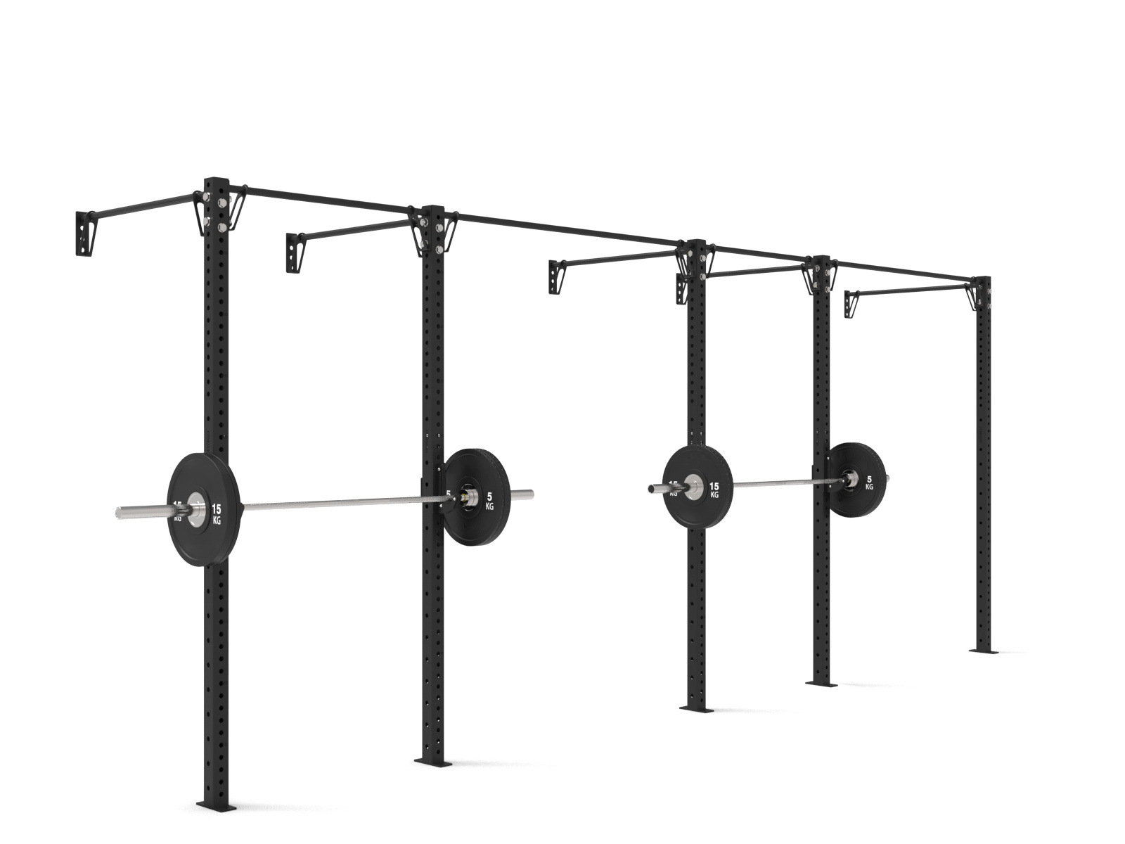 WALL MOUNTED RIGS