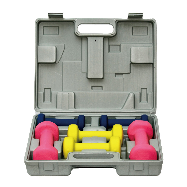 China Promotional Cheap 6/12KG Dumbbell Set with Box Vigor - DBS-D-004