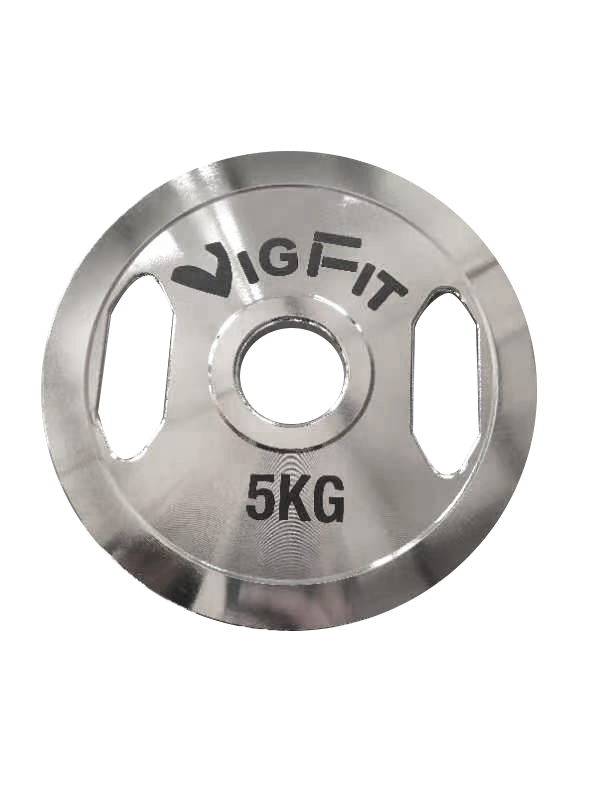 STEEL WEIGHT PLATES WITH HANDLE