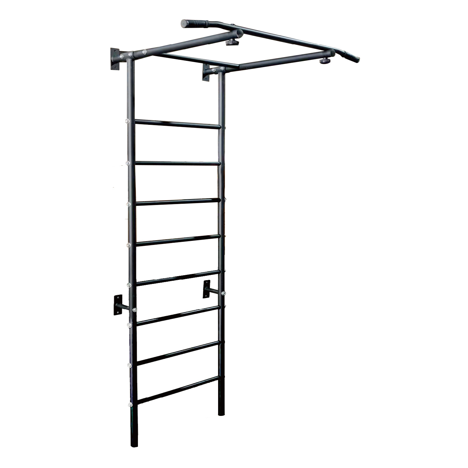 Wall Mount Chinup And Climbingpeg