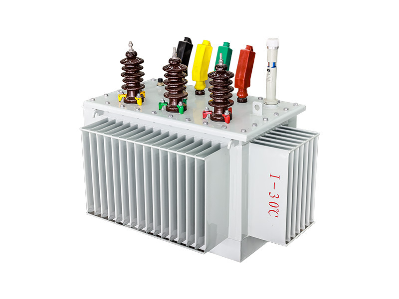 6KV Fully Sealed Three Phase Oil Immersed Power Distribution Transformer