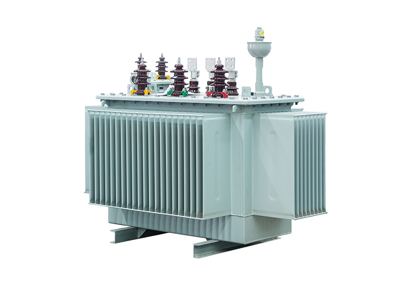 Oil-immersed Power Transformer