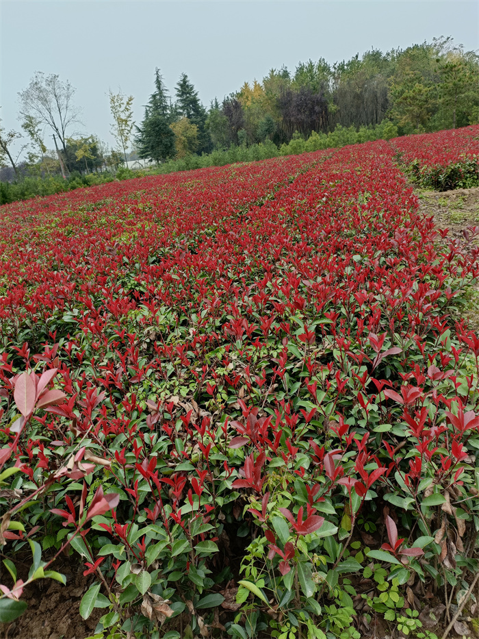 基地一角