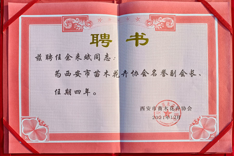 聘書