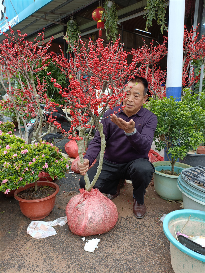 鮮花