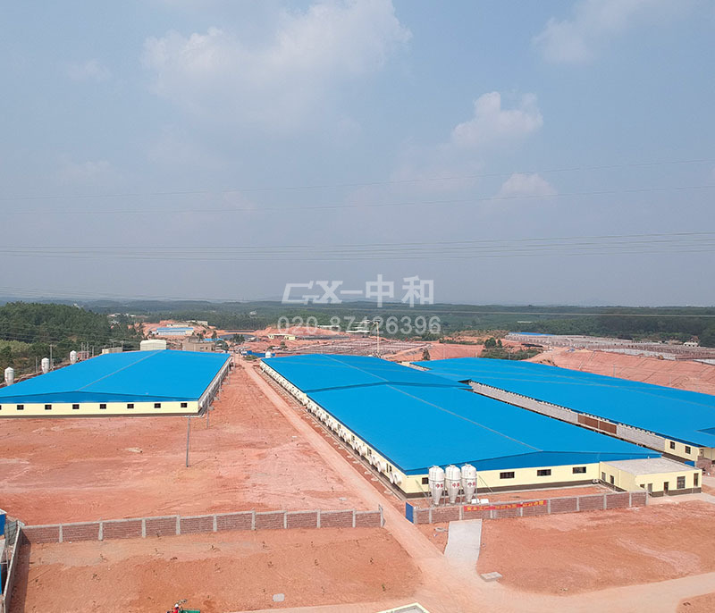 8600 Sows Farm of Maoming Hengxing( Phase I 2000 sows)