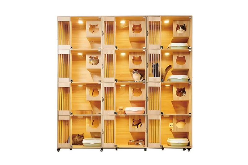 木制宠物兽医猫笼。