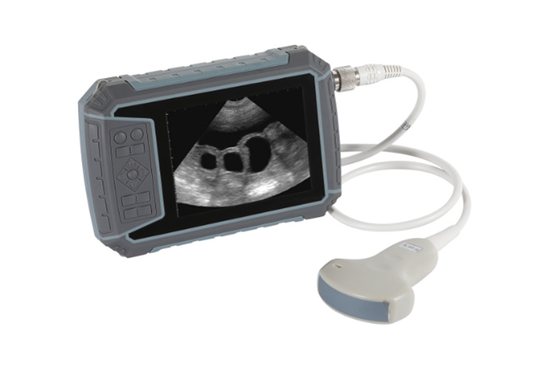 Veterinary Waterproof And Dustproof Full Digital Ultrasound Scanner