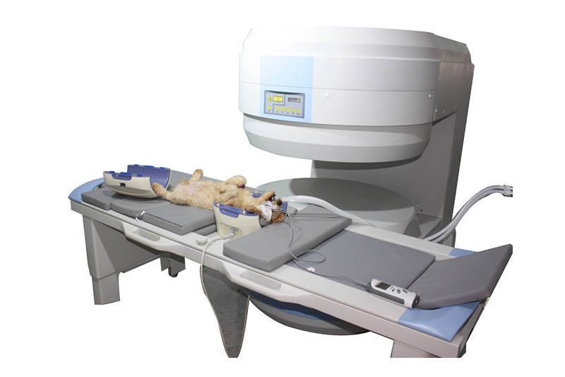 MRl For Veterinary