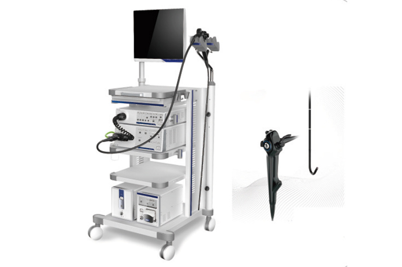 Vet Ent Camera Medical Endoscope System Endoscopy with Factory Price