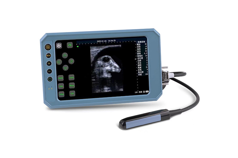 Pet Vet Full Touch Screen Digital Ultrasound Scanner Animal Ultrasound Machine
