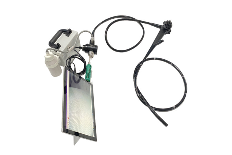 Multifunctional portable Gastroscope VET USB Gastroscope/Colonoscope endoscopy medical science