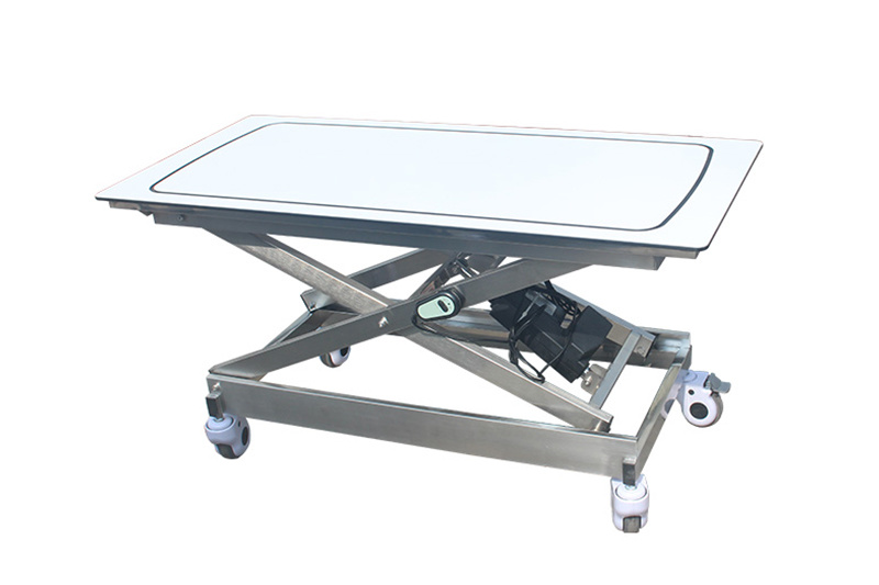Stainless Steel Treatment Pet Operating Table With Acrylic Countertops