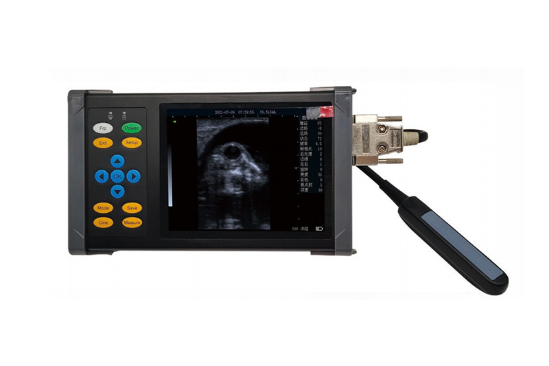 Pet Full Digital Ultrasound Scanner Animal Ultrasound Machine