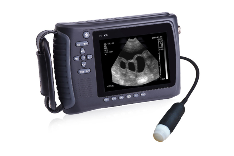 Veterinary Handheld Ultrasound Scanner