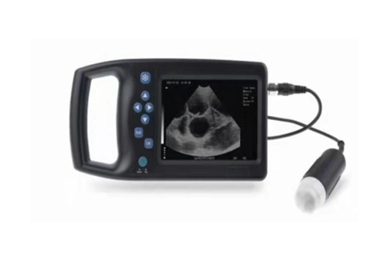 Veterinary Mechanical Fan Ultrasound Scanner Animal Ultrasound Machine