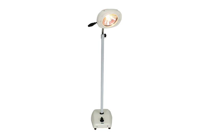 Portable Examination Light