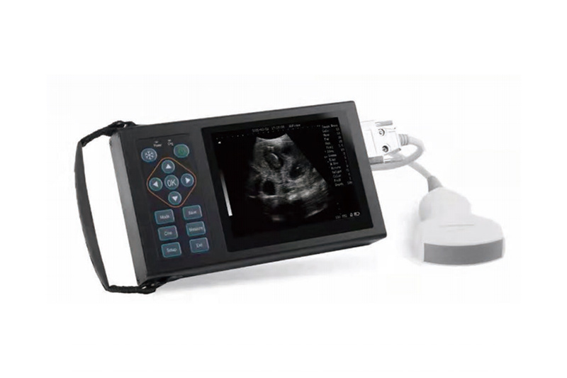 Veterinária completa Ultrassom Digital Scanner Animal Ultrassom Machine