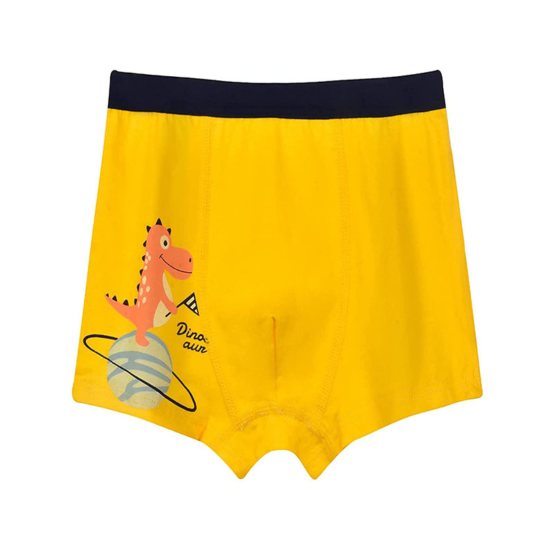 Boy Boxer Short