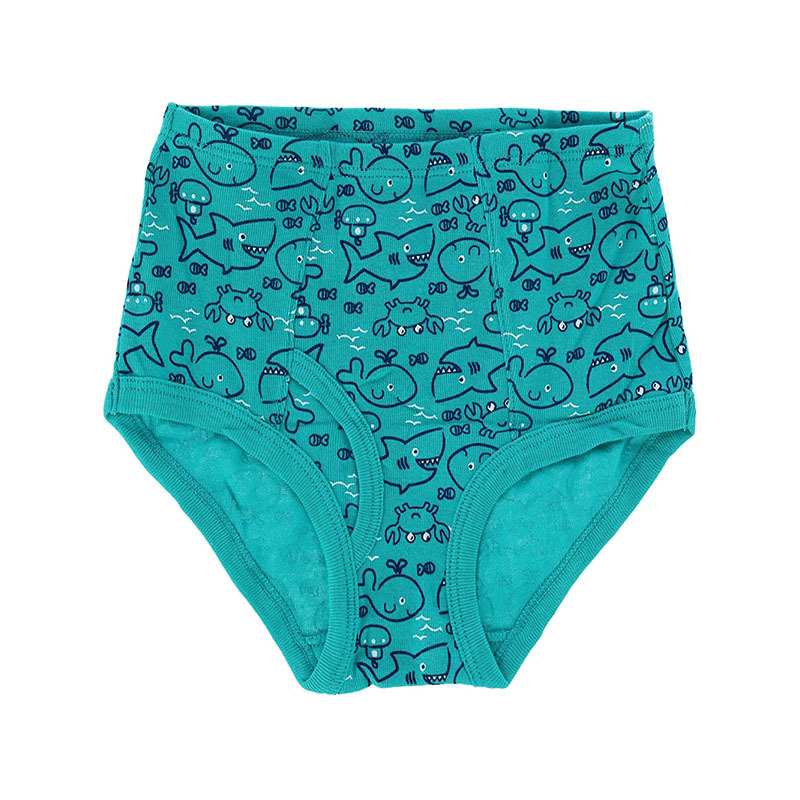 Boy Boxer Brief
