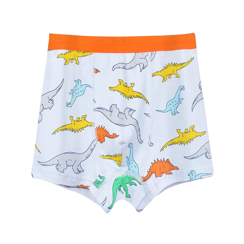 Boy Boxer Short