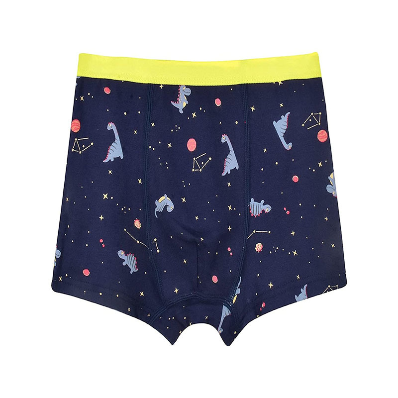 Boy Boxer Short