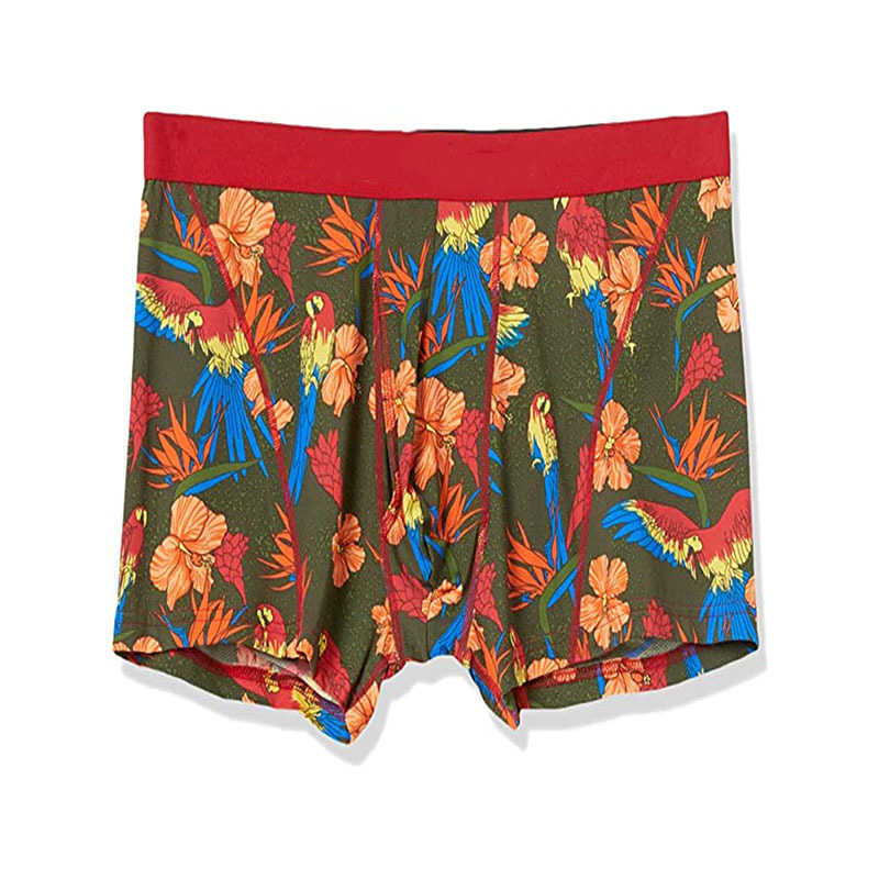 Man Boxer Short