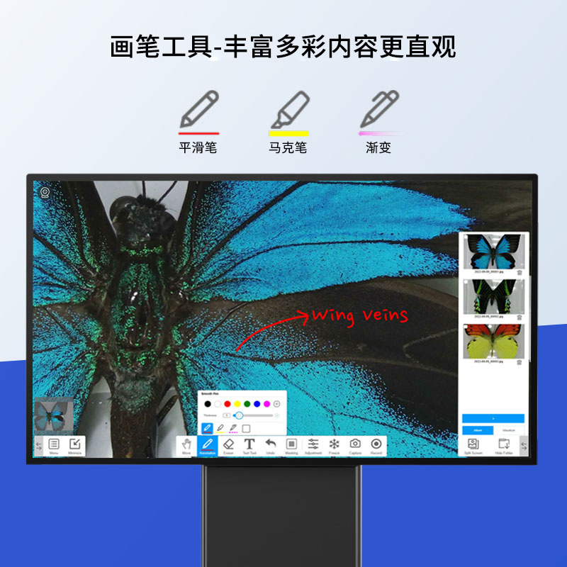 ViiBoard 互动白板及展台软件