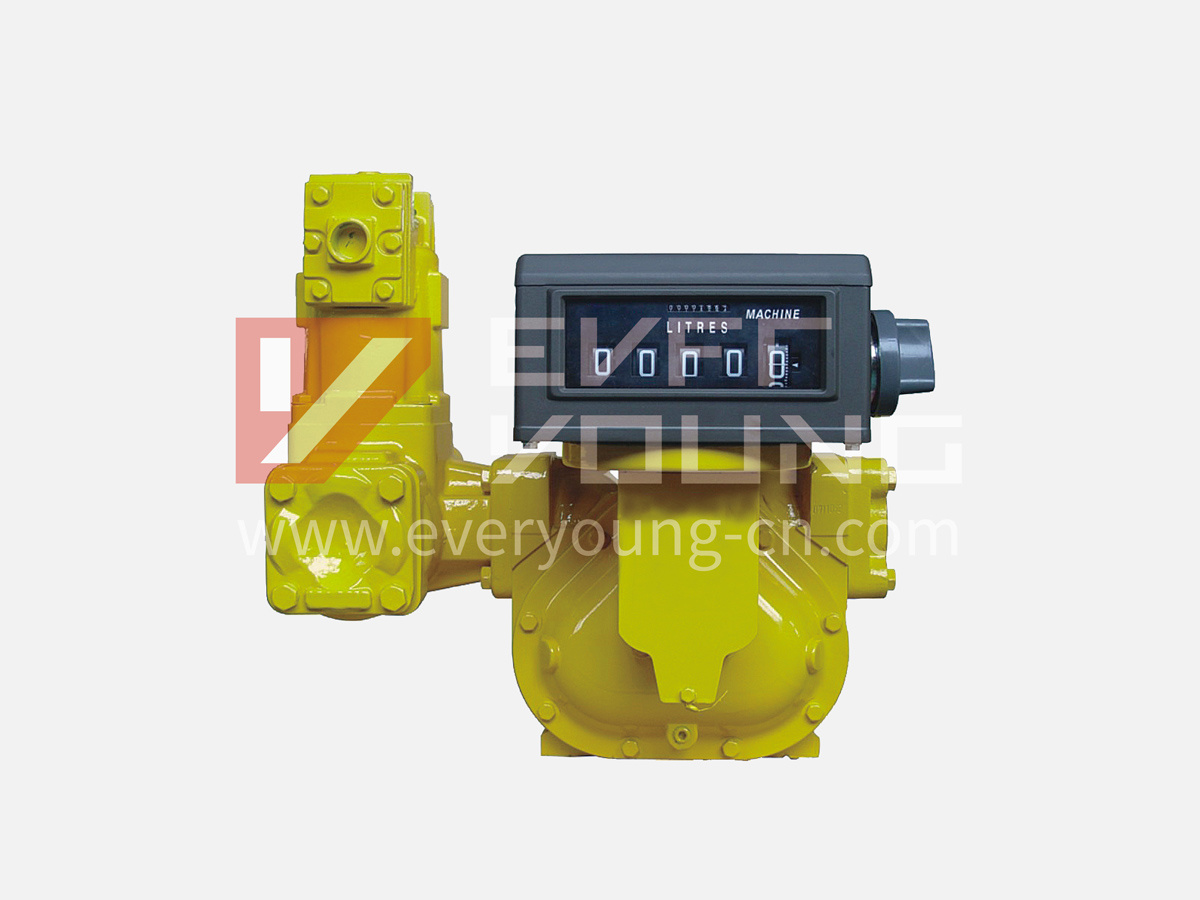 M Series Positive Displacement Flow Meter