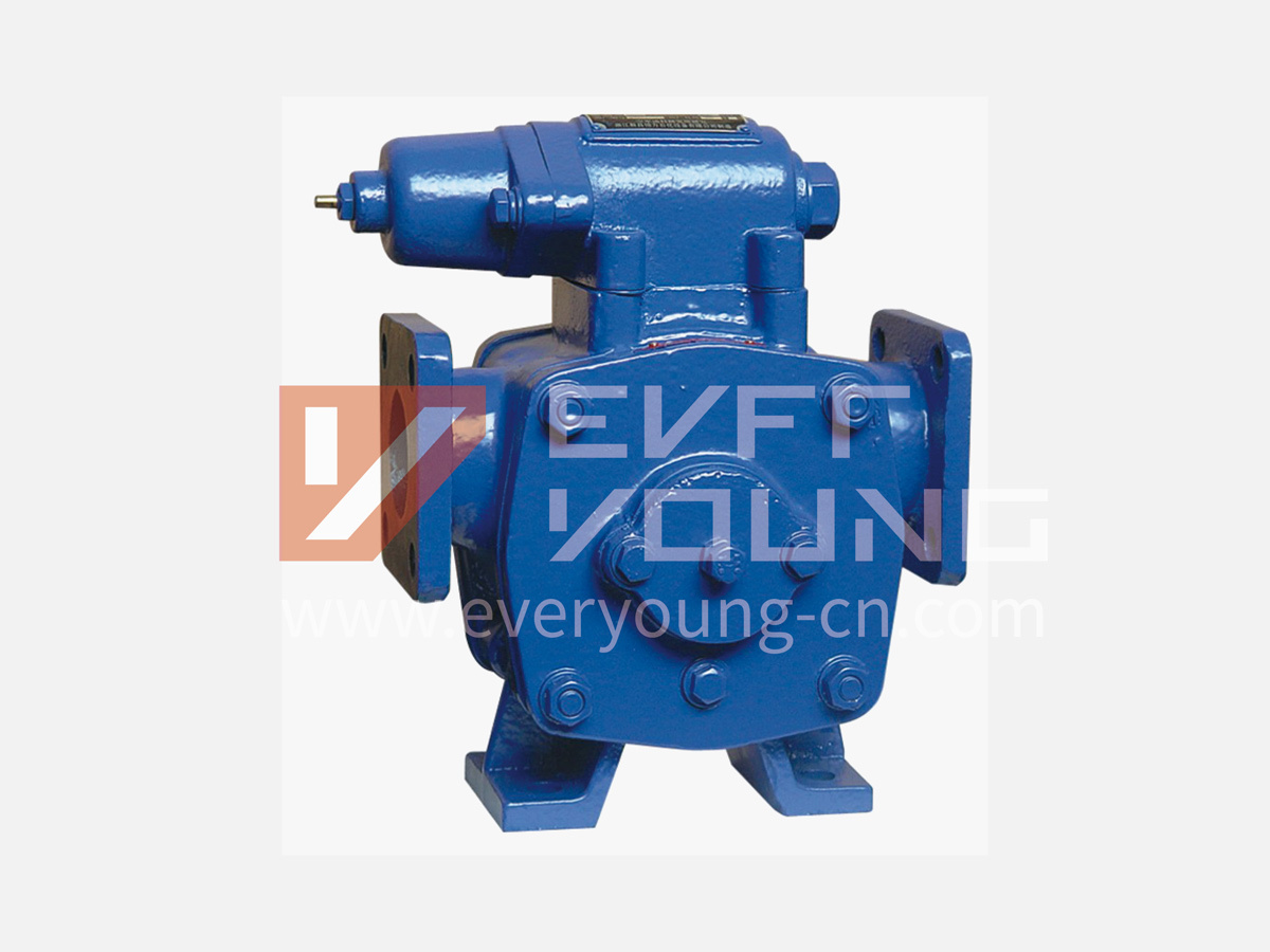 SUB Series Vane Pump