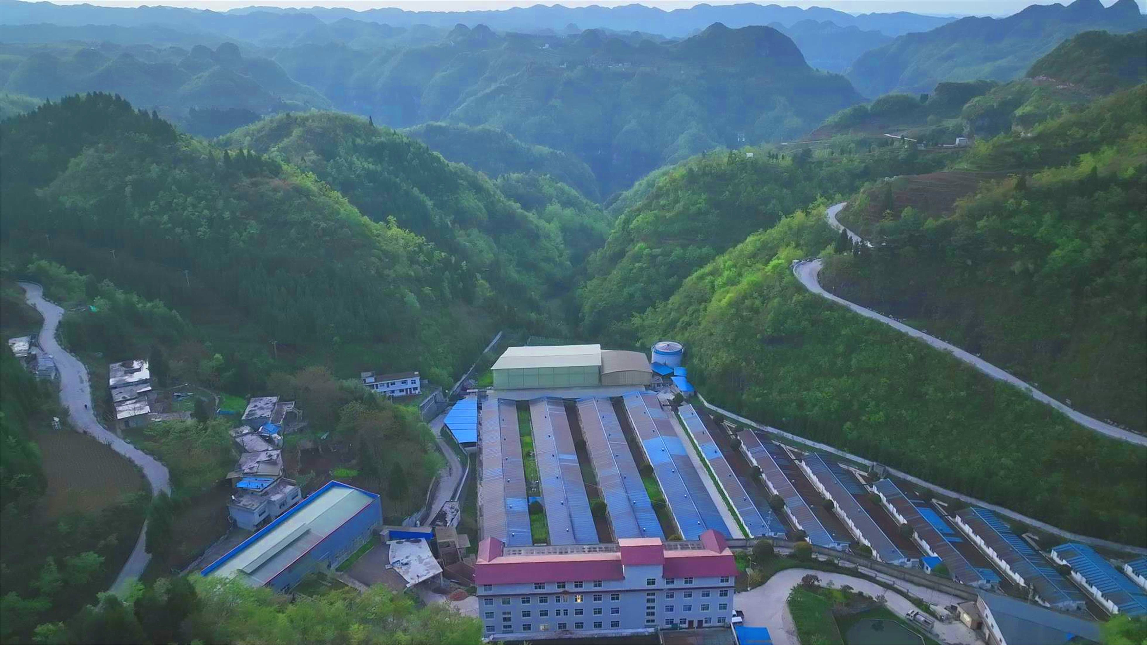 公司养殖场