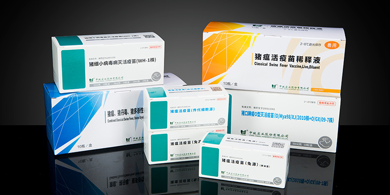 图片名称