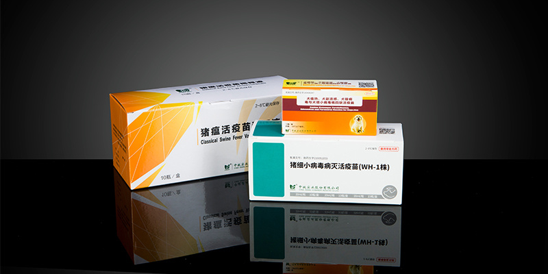 图片名称