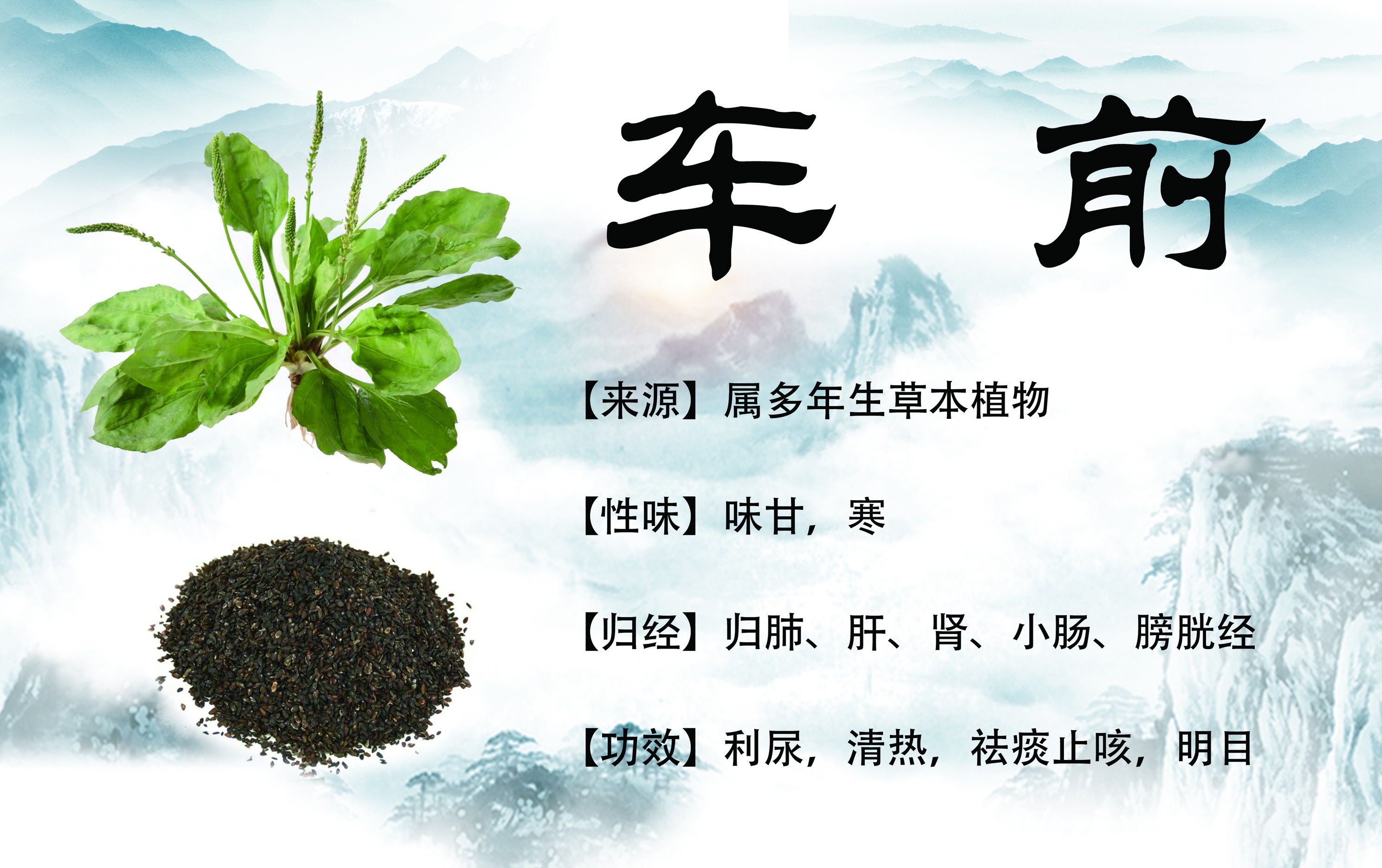 图片名称