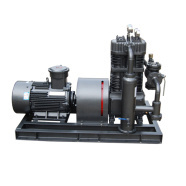 Discount Liquefied Gas Compressor in china