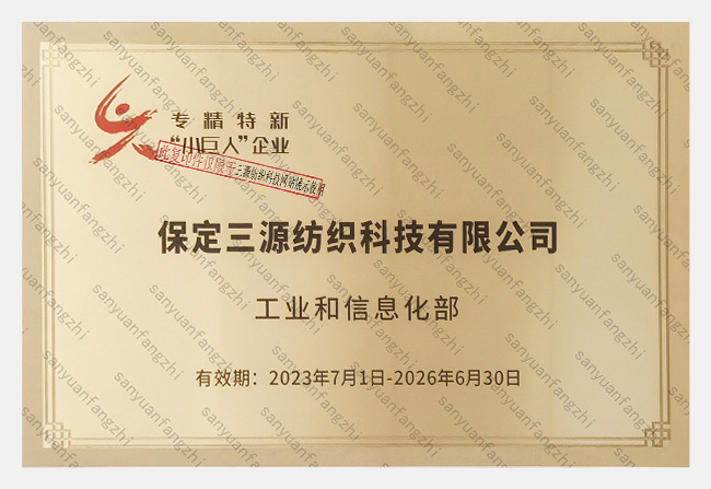 “小巨人”企業