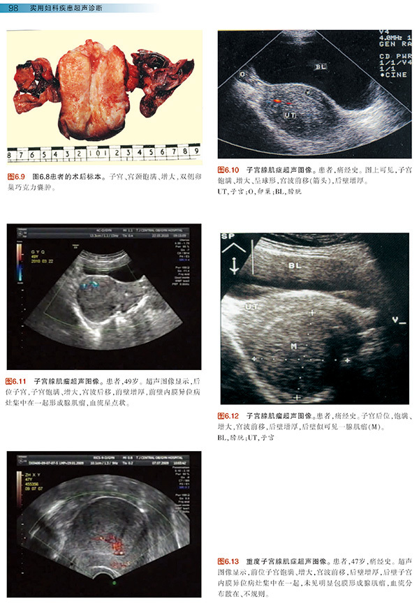 天津科技翻譯出版社