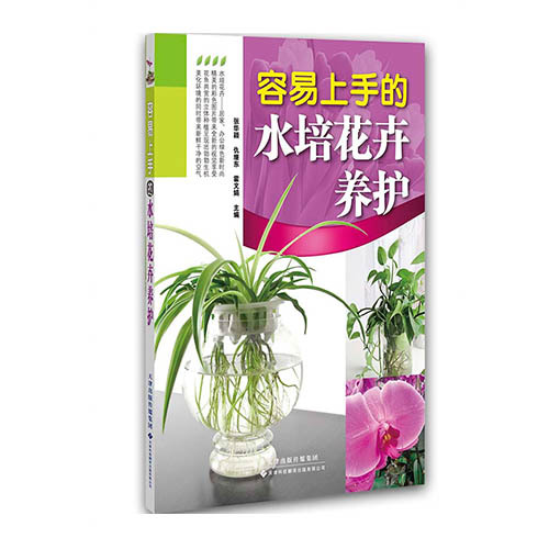 容易上手的水培花卉養(yǎng)護