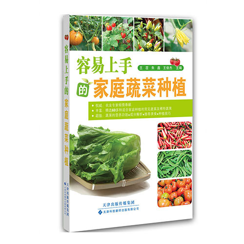 容易上手的家庭蔬菜種植