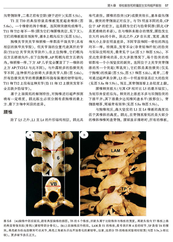 天津科技翻譯出版社