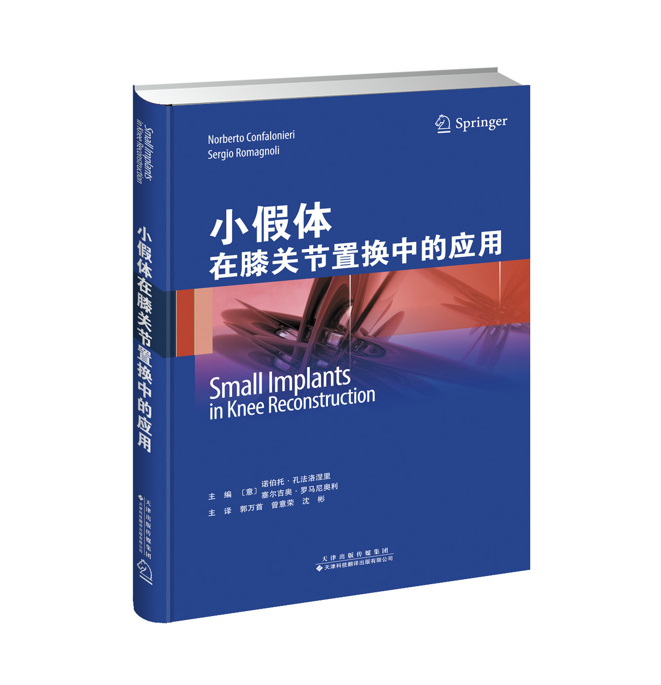 小假體在膝關(guān)節(jié)置換中的應(yīng)用