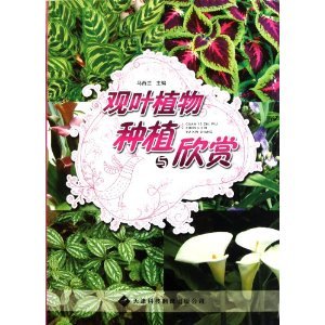 觀葉植物種植與欣賞