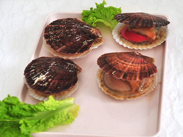 全殼貝