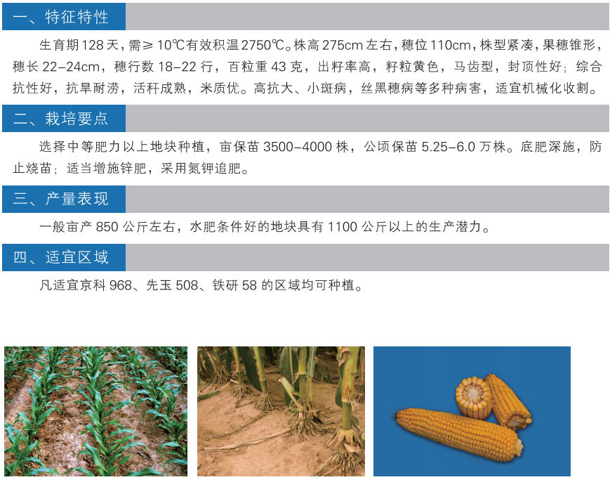 铁岭市剑宁种子有限公司